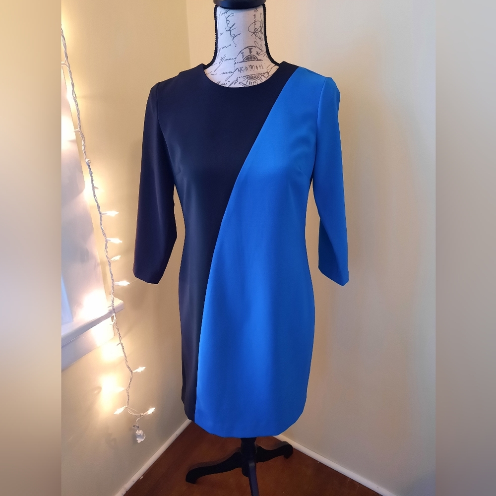 Ann Taylor Colorblock Dress